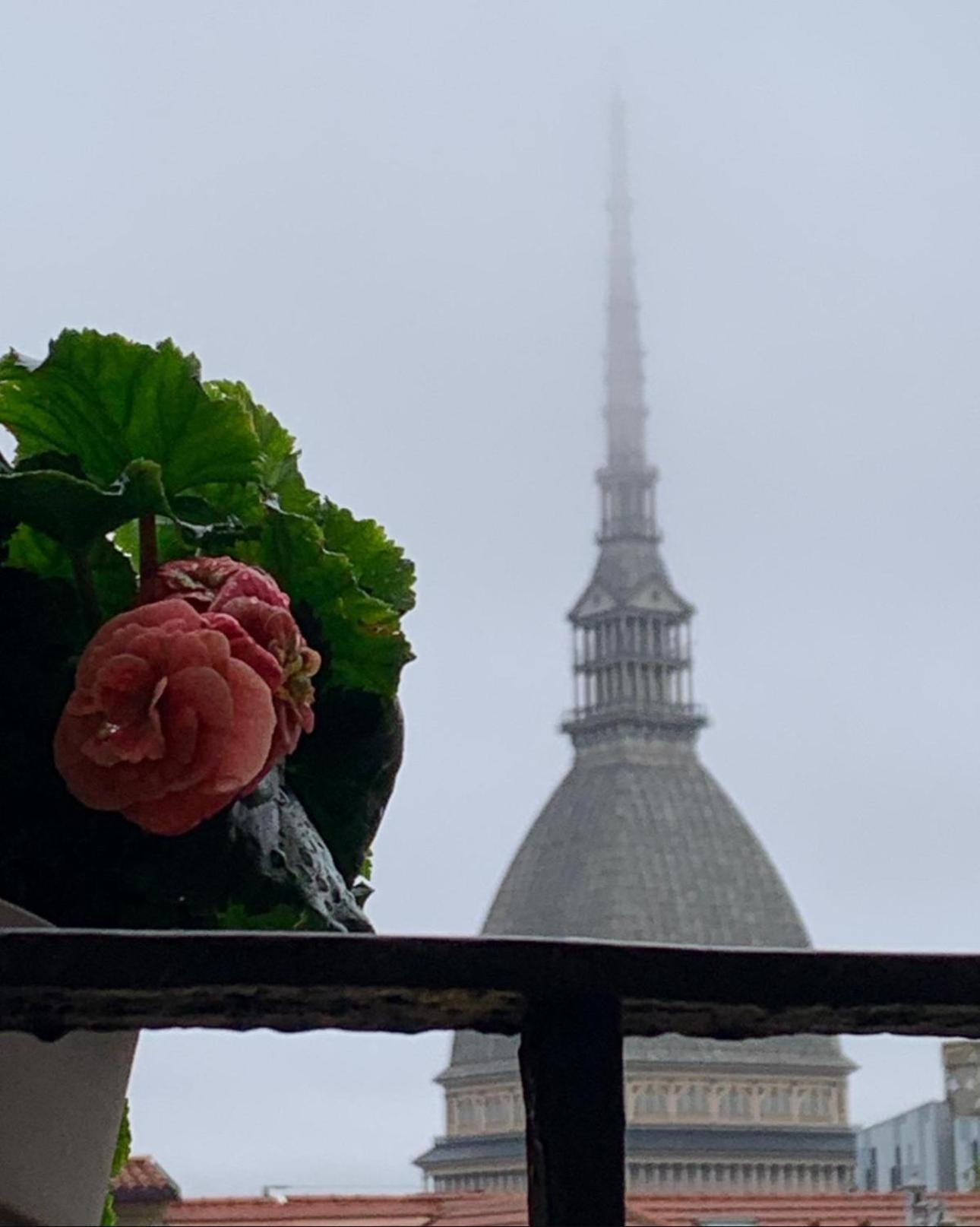 Le Finestre Sulla Mole Apartman Torino Kültér fotó